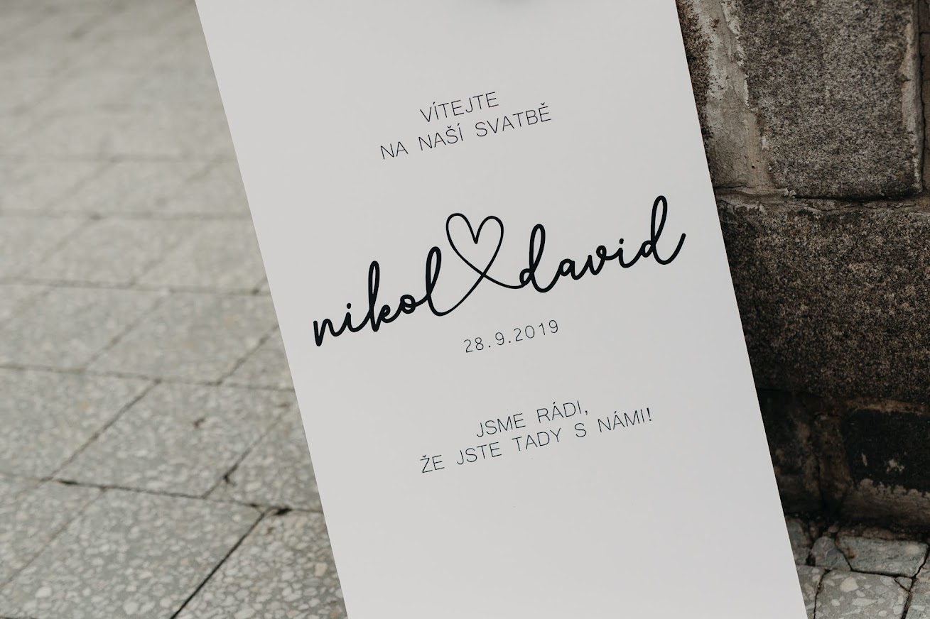 nikol a david2
